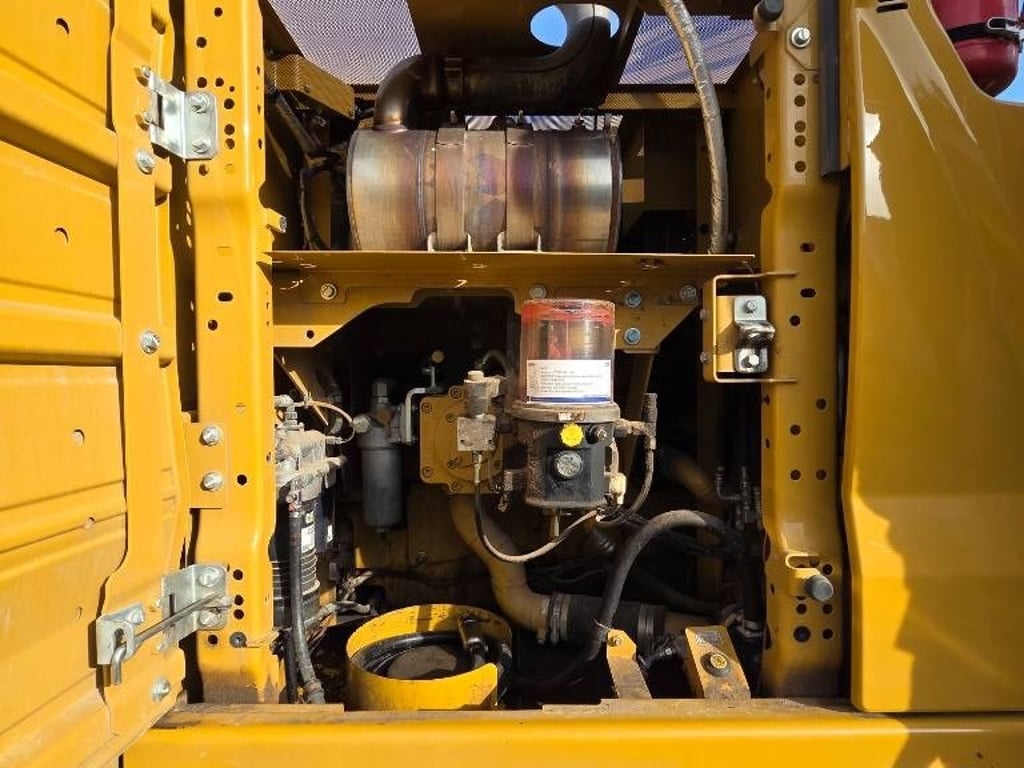 cat-323,0bdee22a.jpg