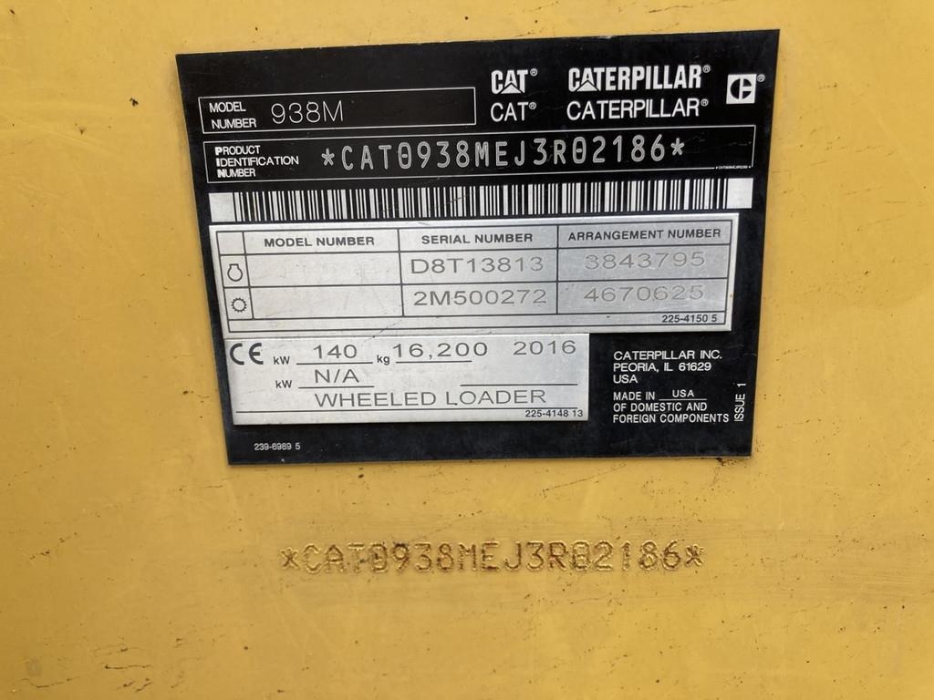 cat-938-m,24978fa6-11.jpg